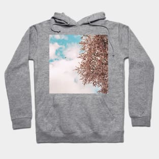 Cherry Blossom 5 Hoodie